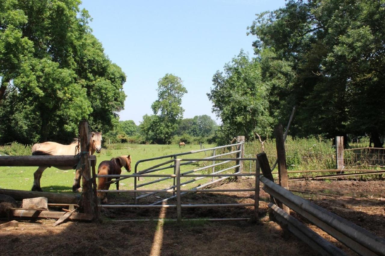 La Ferme De La Croix Villa Saint-Quentin-Lamotte-Croix-au-Bailly Екстериор снимка