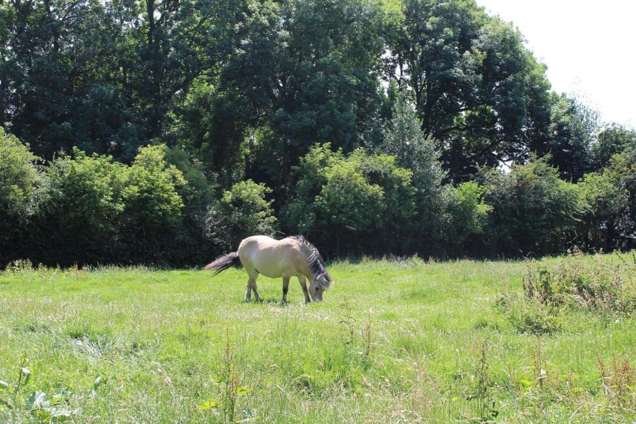 La Ferme De La Croix Villa Saint-Quentin-Lamotte-Croix-au-Bailly Екстериор снимка