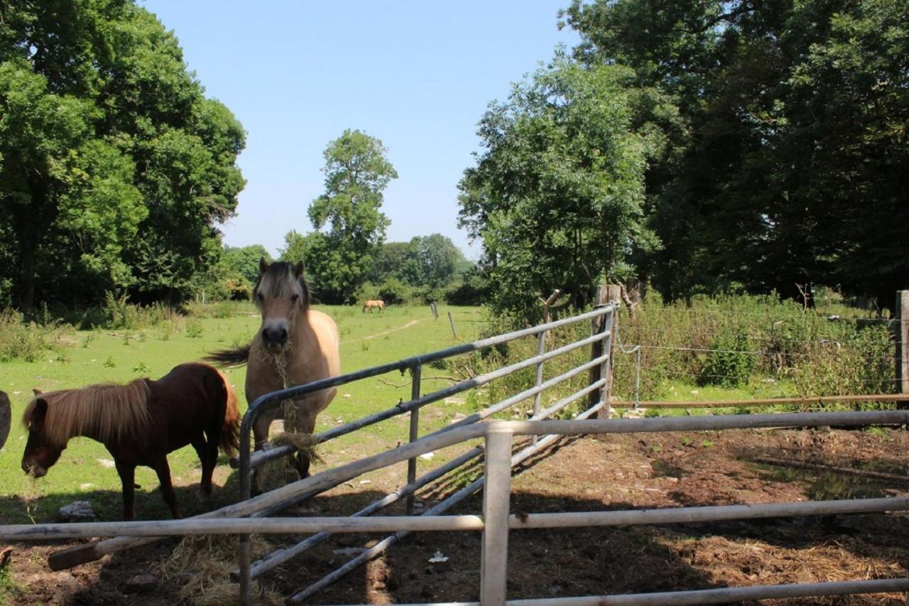 La Ferme De La Croix Villa Saint-Quentin-Lamotte-Croix-au-Bailly Екстериор снимка